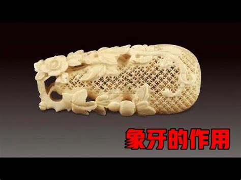 猛獁功效|【猛獁象牙功效】探索猛獁象牙的驚人功效：強身健體，益智明心。